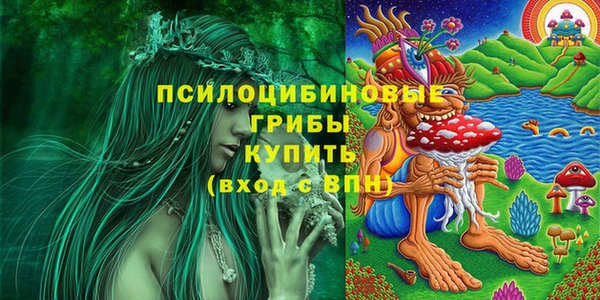 гидропоника Арсеньев