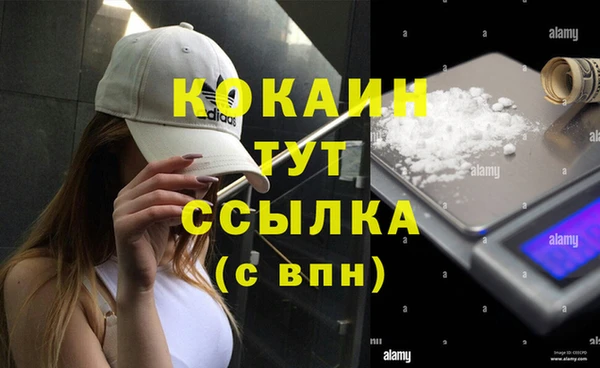 гидропоника Арсеньев