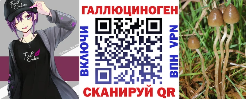 hydra ТОР  Советск  Галлюциногенные грибы Psilocybe 