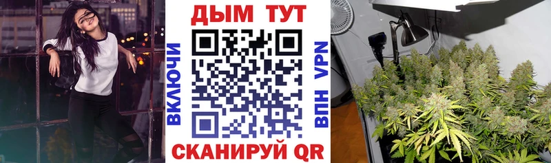 MEGA ТОР  Советск  Бошки Шишки план  купить наркотики цена 